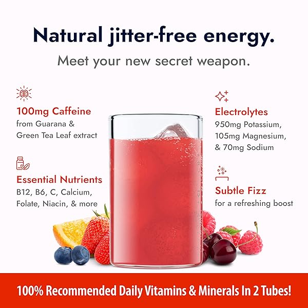 ZIPFIZZ DAILY ENERGY DRINK POWDER, FRUIT PUNCH, 20 PACK 3-IN-1 SUSTAINED ENERGY, RAPID HYDRATION, AND ESSENTIAL VITAMINS SUGAR-FREE ELECTROLYTE POWDER CONTAINS VITAMIN B-12 & ANTIOXIDANTS