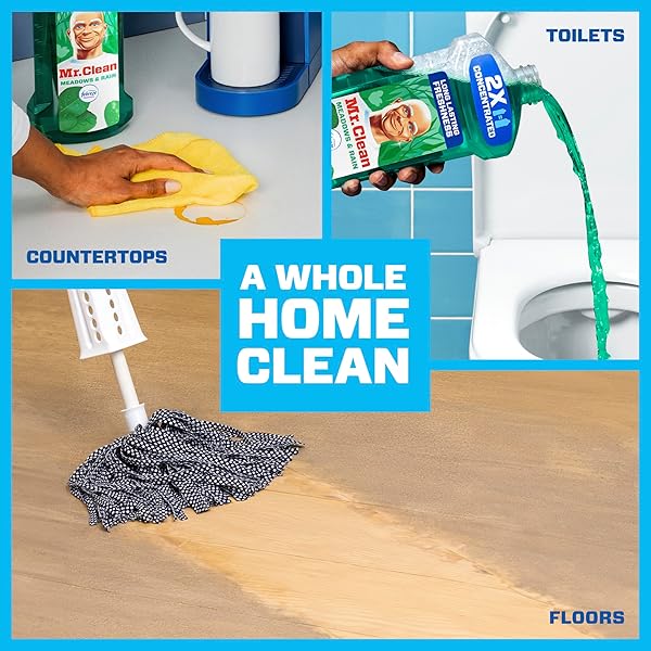 MR. CLEAN ALL PURPOSE CLEANER, FLOOR CLEANER FOR MOPPING HOME, BATHROOM, & KITCHEN, CLEANING LIQUID FOR MOP & BUCKET, CLEANING SUPPLIES, MULTI-SURFACE DILUTABLE, MEADOWS & RAIN, 41OZ