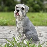 Dopukie Outdoor Dog Garden Statue, Resin Figurine Decor Miniature Schnauzer | Hand-painted Lifelike Details, Weather Resistant Ornaments for Home Lawn Yard Garden Patio Entryway, Dog Lover Memorial Gifts