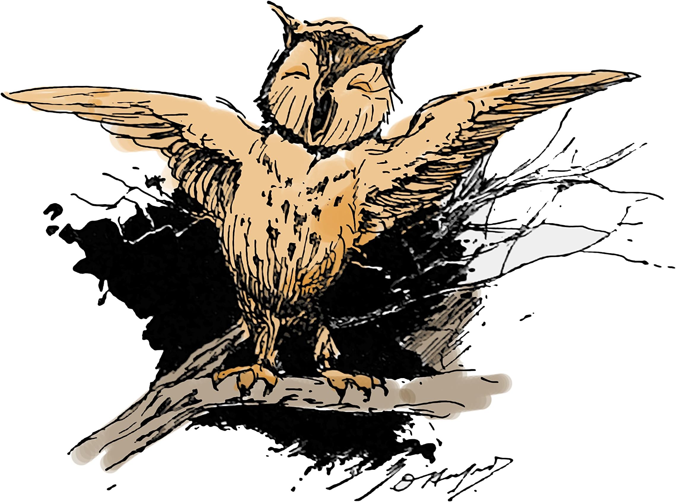 8x10 Fine Art Print of"The Waking Owl", From"Artful Antics", 1894, Children's Nursery Room Art, Kids Wall Art Print, Kids Room Decor, Animal Poster, Baby Room. Size: 8x10 Inches (NDAAWakOwl1810)