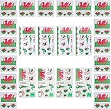 AhfuLife Welsh Flag Tattoos 24 Sheets St. David's Day Party Decor