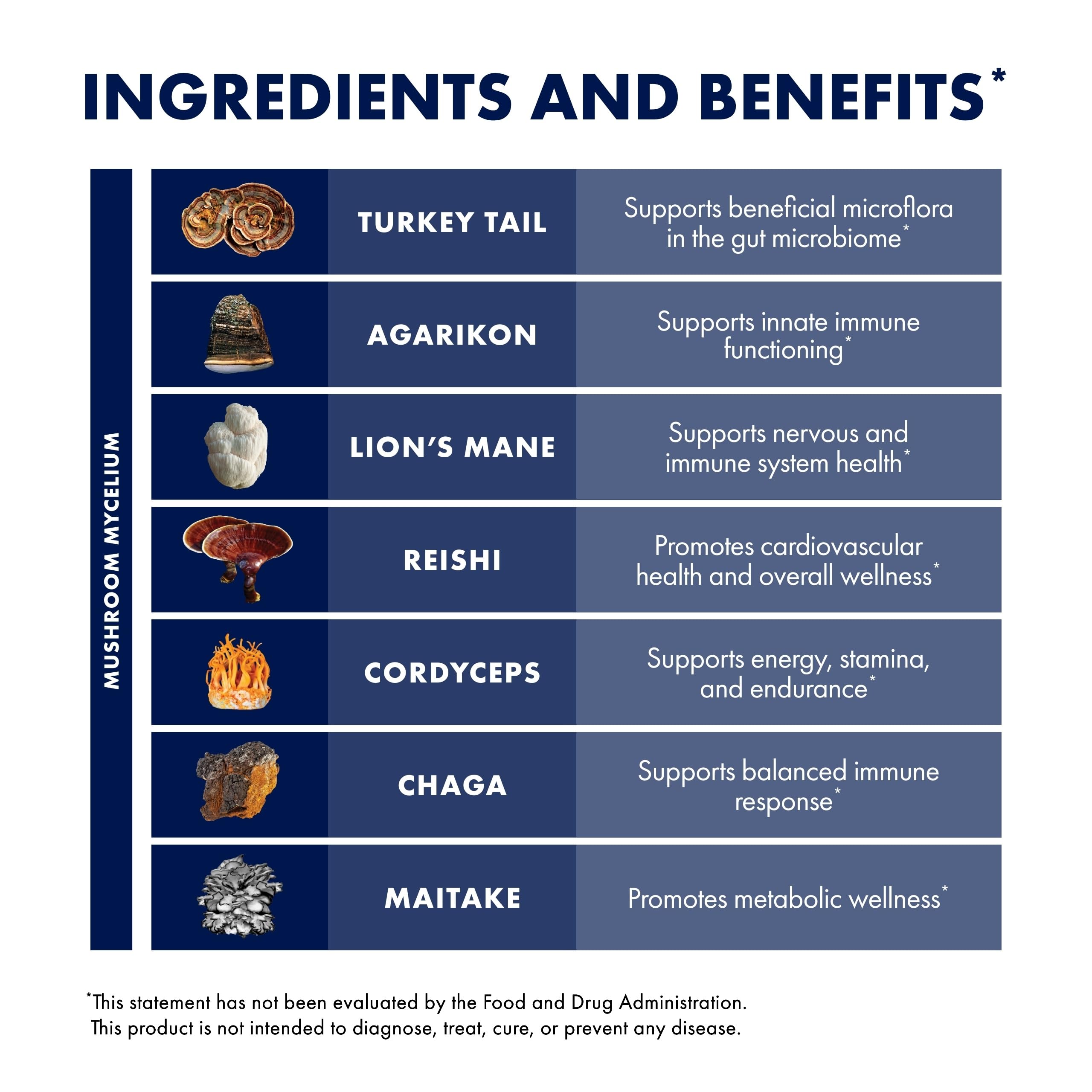 Host Defense MyCommunity Extract - 17 Species Blend Mushroom Supplement for Immune Support - Extract with Lion's Mane, Reishi, Chaga, Cordyceps, Turkey Tail & More - 1 fl oz (30 Servings)*