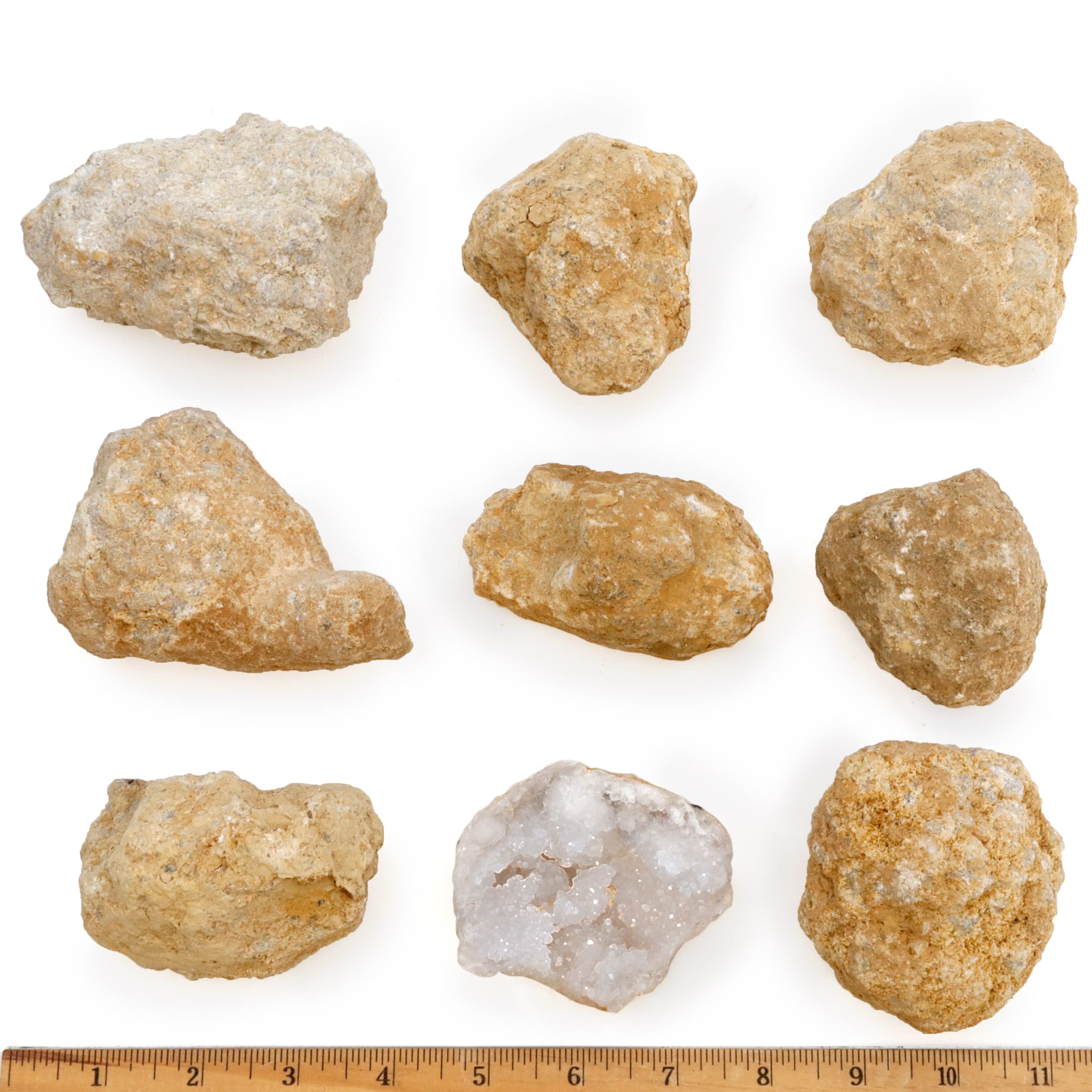 DANCING BEAR 8 XL Break Your Own Geodes, (2.5-3.5