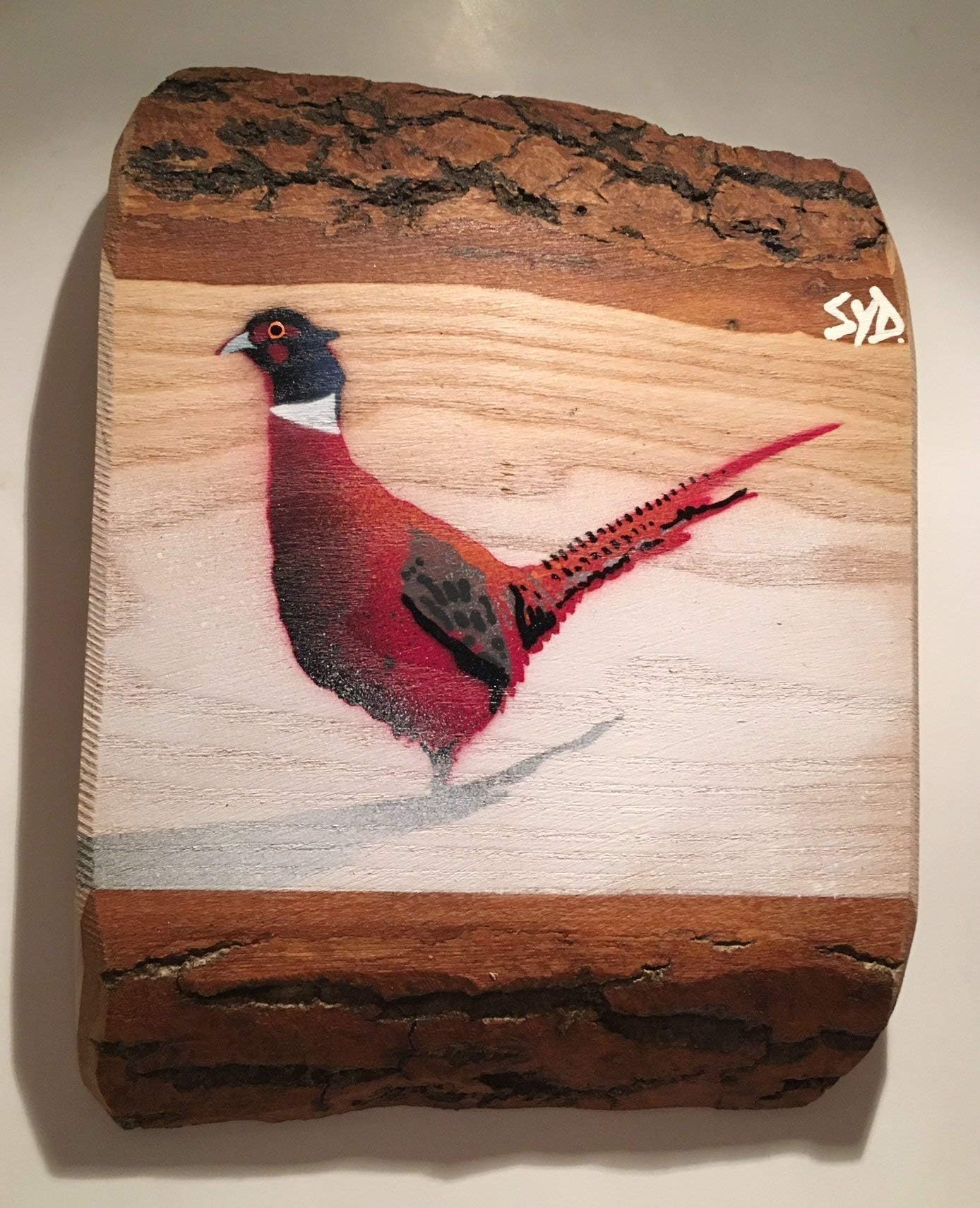 Pheasant Artwork Picture, Large Stencil Art Painting on wood, Gift for dad/brother / Birthday present/Handmade - 26 x 22cm