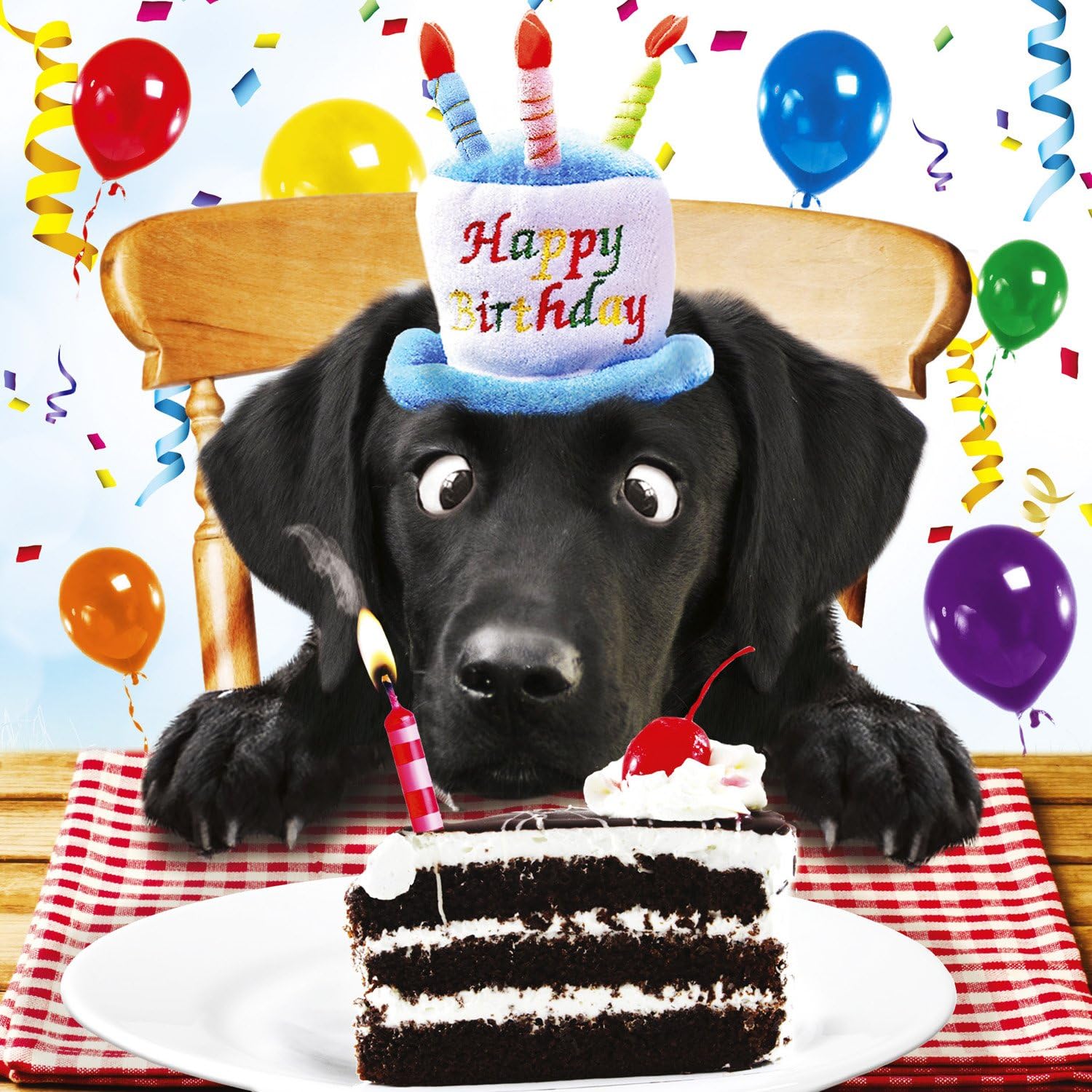 black lab cake