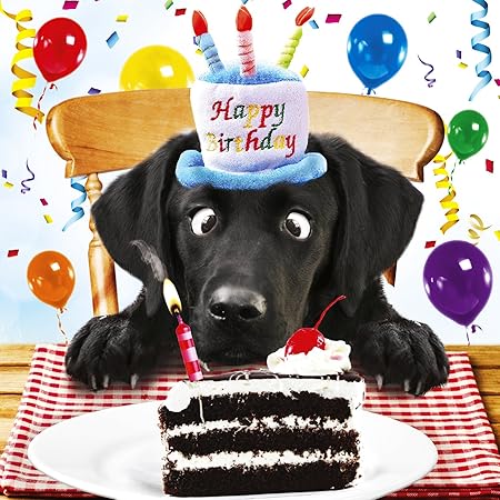 black labrador cake