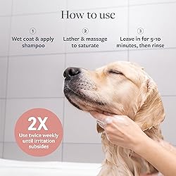 Veterinary Formula Clinical Care Hot Spot & Itch