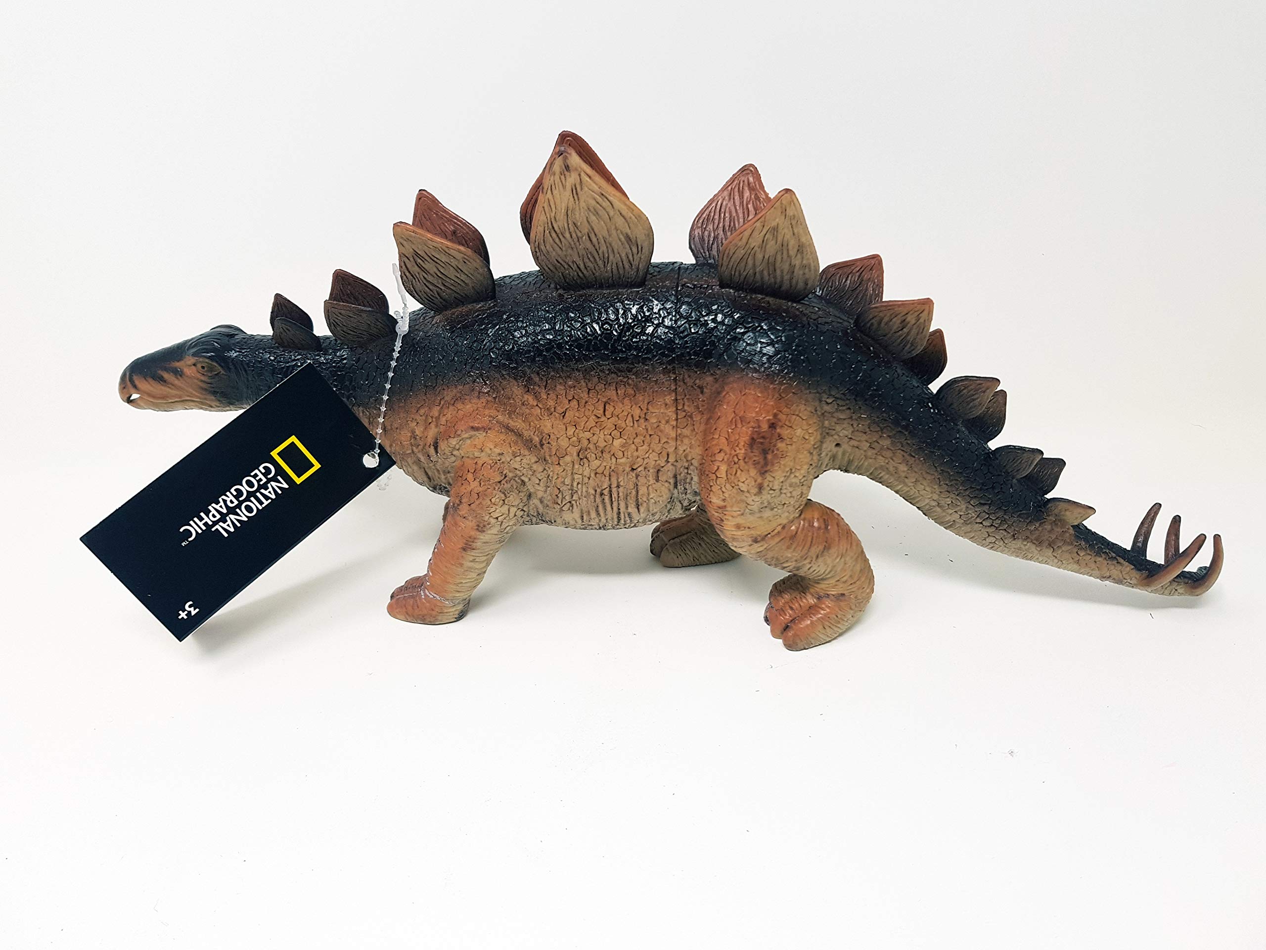 STEGOSAURUS NATIONAL GEOGRAPHIC DINOSAUR