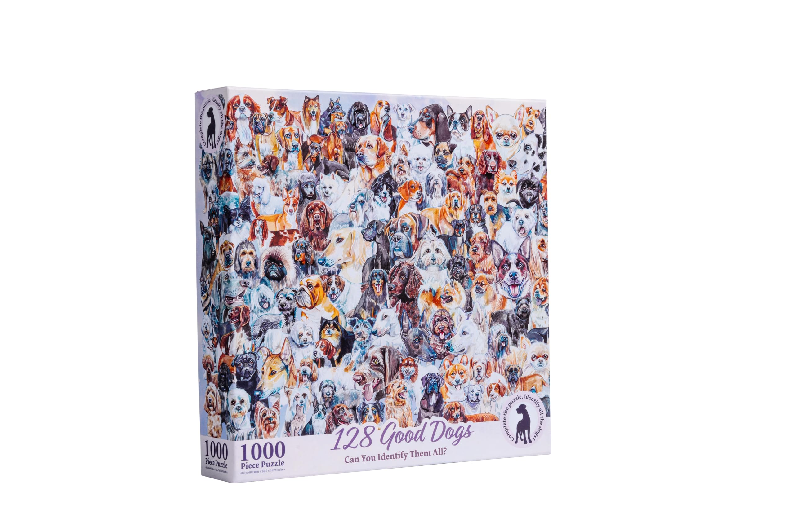 128 Good Dogs: Can You Identify Them All? A Dog Park Puzzle