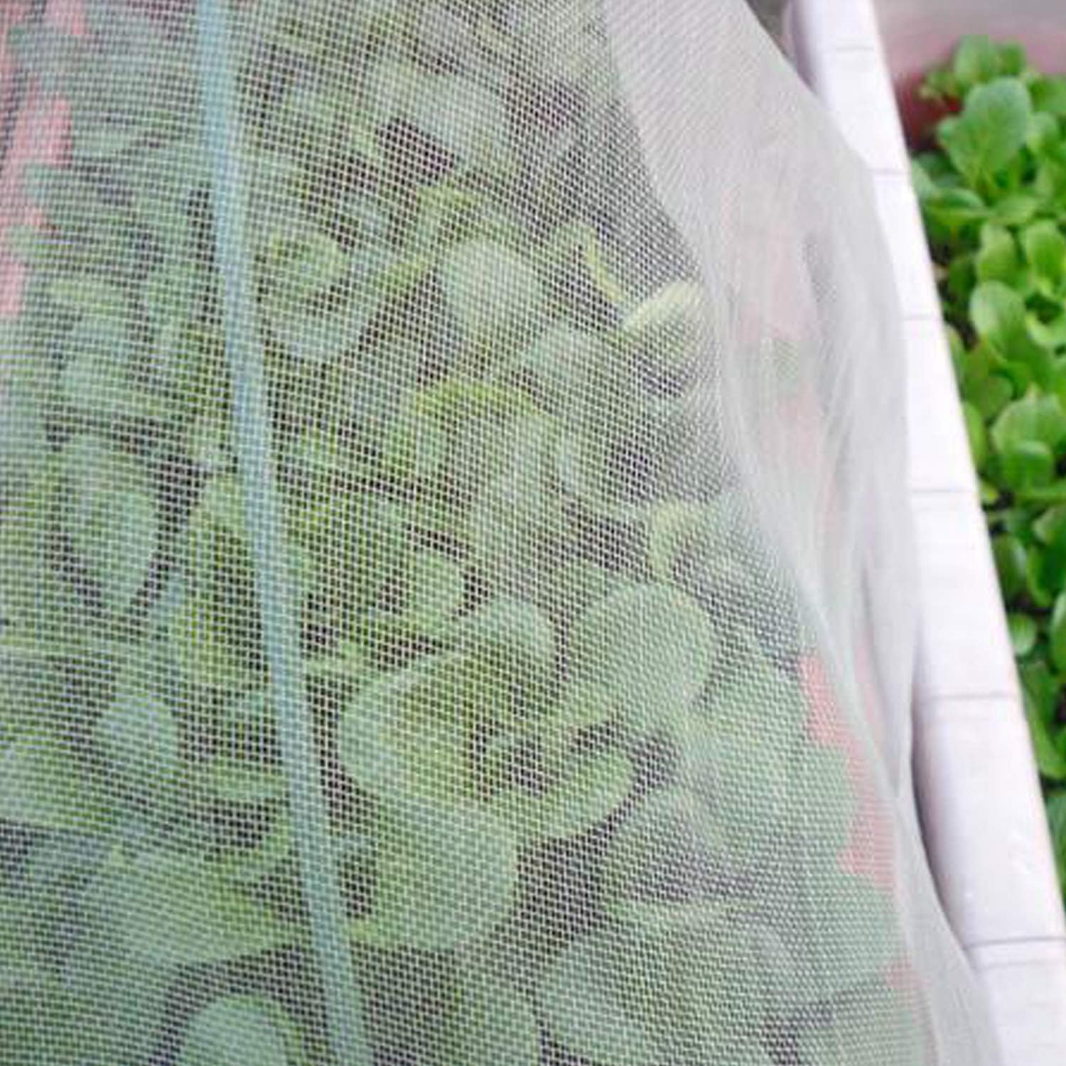 Alpurple Purple Star Insect Bird Barrier Netting Mesh - Image 4