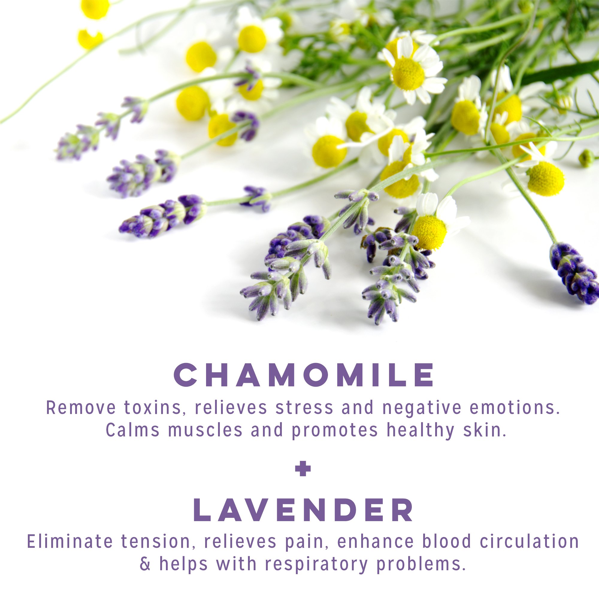 Calily Life Organic Aromatherapy Lavender and Chamomile Bubble Bath, Soak and Wash, 33. 8 Oz. – Relaxes, Soothes and Nourishes - With Pure Essential Oils; Lavender, Chamomile & Aloe Vera [ENHANCED]