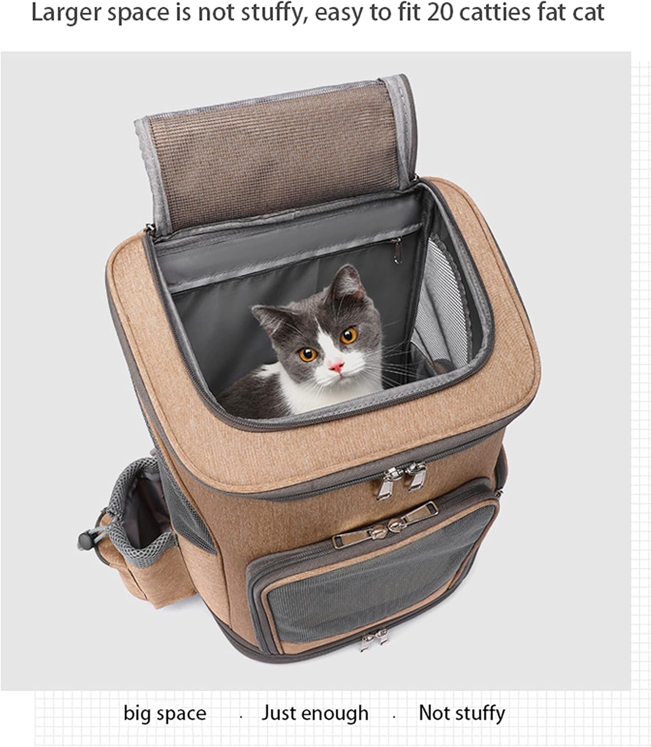 kitten carrier backpack