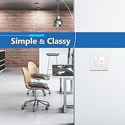 LIDER Brushed Finish Decorator Switch