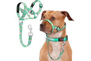 DOMIGLOW No-Pull Dog Headcollar, Anti-Pull Head Halter Collar for Medium Dogs, Adjustable Padded Design to Stop Pulling on Leash, Easy Walking Training Control (Green, Medium)