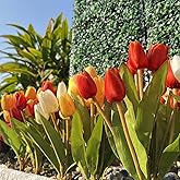 Artificial Fake Flowers for Spring Summer Outdoor Decoration,6 Bundles Shyshining Realistic UV Resistant Silk Fabric Colorful Tulip Faux Plants for outside Planter Home Porch Patio Decor(White Orange)