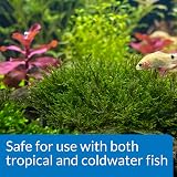 API Root Tabs Freshwater Plant Fertilizer 10 Tablets Box 13 g Each view 5