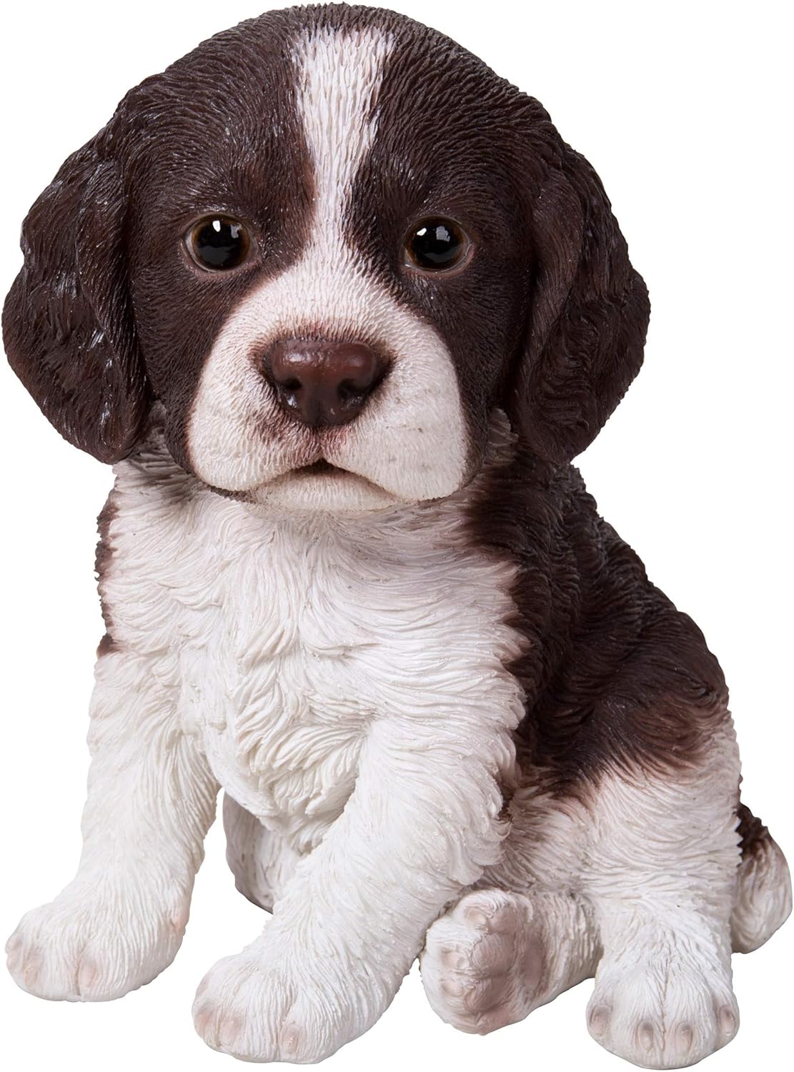 springer spaniel puppies