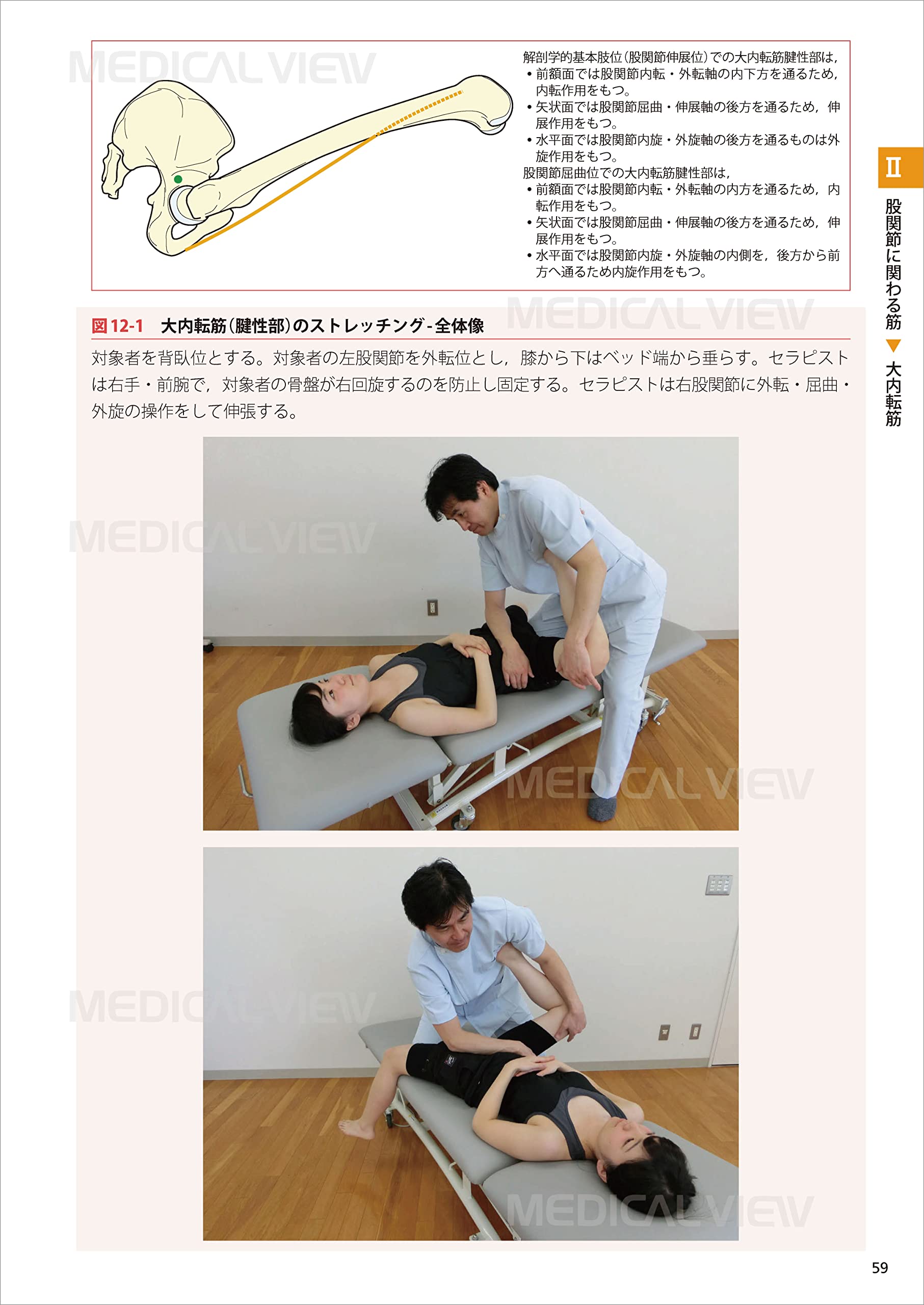 セラピストのための機能解剖学的ストレッチング上肢、下肢 セラピストのための 機能解剖学的ストレッチング 上肢 | 林 典雄
