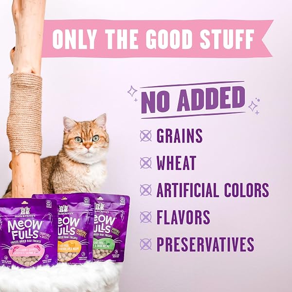 STELLA & CHEWY’S MEOWFULLS FREEZE DRIED CAT TREATS – WHITEFISH & SALMON RECIPE – RAW PROTEIN WITH PROBIOTICS & SALMON OIL – 1 CALORIE PER TREAT – 1.5 OZ