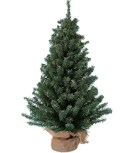 3セット新品！◆WDCC ◆／Pluto's Christmas Tree Amazon.com: Pluto's Christmas Tree, Mickey's PRESENTS FOR MY