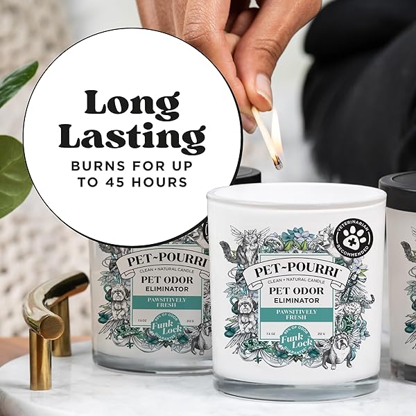 PET-POURRI PAWSITIVELY FRESH PET ODOR DEODORIZER CANDLE, BURNS UP TO 45 HOURS, AROMATHERAPY & AIR FRESHENER WITH ESSENTIAL OILS, PLANT BASED INGREDIENTS & WAX, VET APPROVED, JASMINE PEAR SCENT