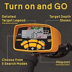 Garrett Ace 300 Pro Pointer at Special with All