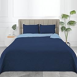 Easy-Going Twin Size Reversible Quilt Set with 1