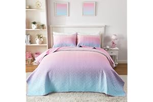 SUCHBED Light Pink Quilts Queen Size for Girls, Heart-Shaped Quilted 2 Piece Bedspread Coverlet, Lightweight Soft Reversible Queen Quilt Bedding Set with Sham Blue-Pink Gradient