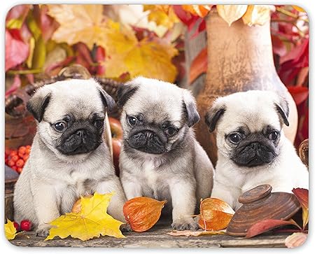 Amazon パグの子犬マウスマットパッドかわいい赤ちゃんパグ子犬ママ姉妹コンピュータギフト 17 Destination Vinyl Mats パソコン 周辺機器 通販