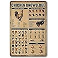 Chicken Knowledge Metal Sign Chicken Coop Tin Signs Wall Decor Breeds Of Chickens Retro Farm Chicken Signs Funny Outdoor Decoration Parts Of Chicken Wing Anatomy Types Combs Feather Pattern 8×12 inch