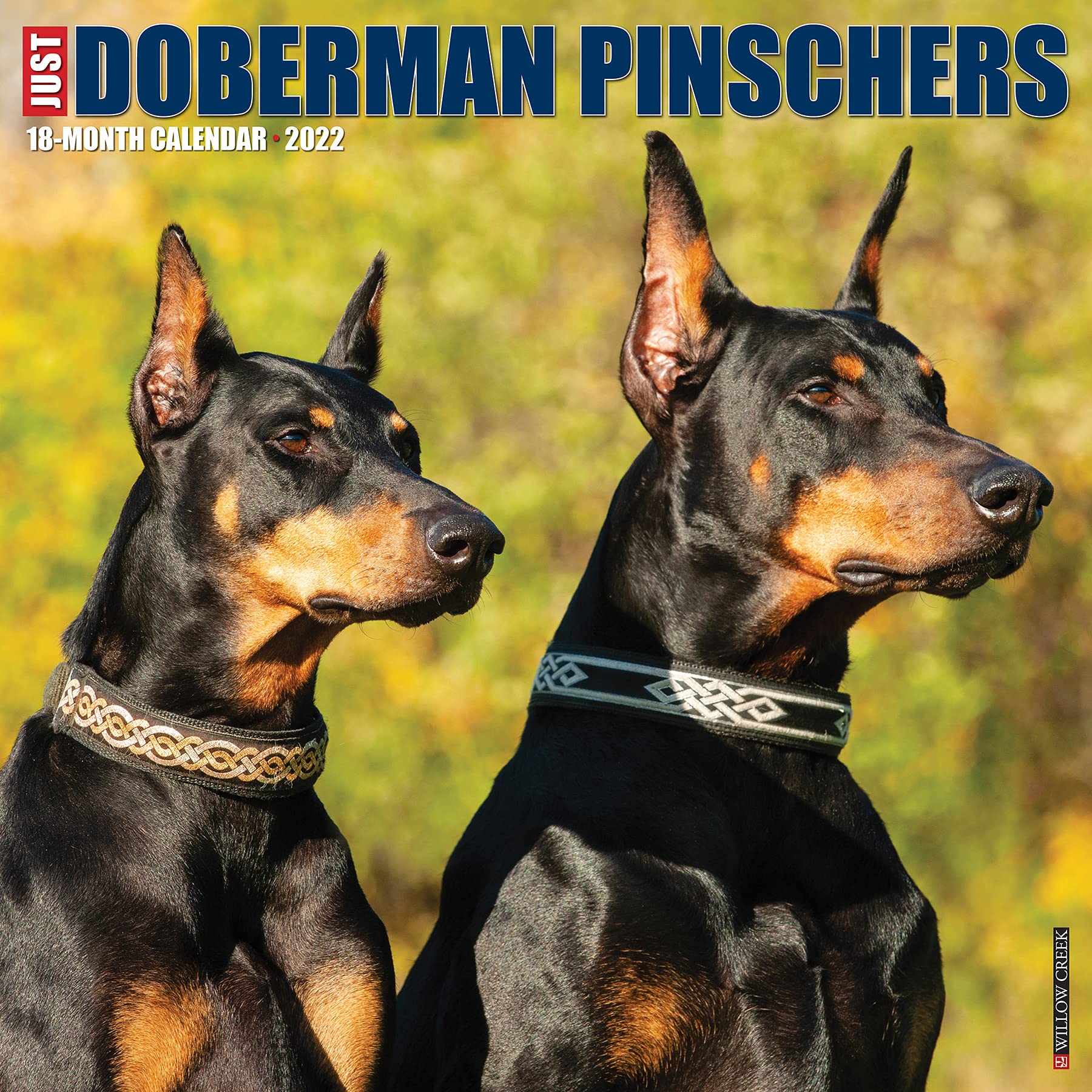 Amazon.fr - Just Dobermans 2022 Wall Calendar - Willow Creek Press - Livres