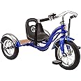 Schwinn Roadster Bike for Toddler, Kids Classic Tricycle, Low Positioned Steel Trike Frame with Bell and Handlebar Tassels, Rear Deck Made of Genuine Wood, for Boys and Girls Ages 2-4 Year Old, Blue