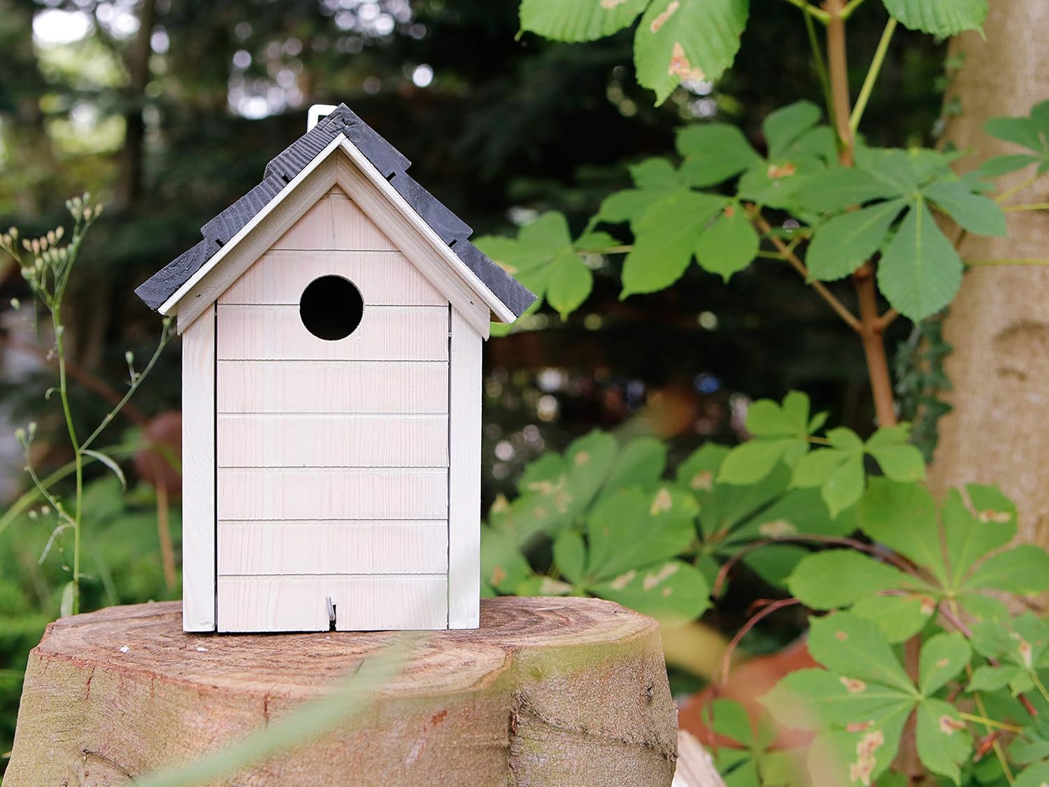 VDG-Garten Caja Nido 19 x 19 x 25/28 cm Gris/Antracita: Amazon.es: Jardín