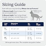 MidWest iCrate 106 cm Single Door Folding Dog Crate with Divider Panel view 4