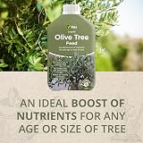 Vitax Olive Tree Liquid Feed 1 Litre Makes 50 Cans Suitable For Pots & Borders view 5