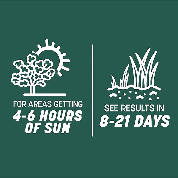 PENNINGTON SMART SEED SUN AND SHADE GRASS MIX 7 LB