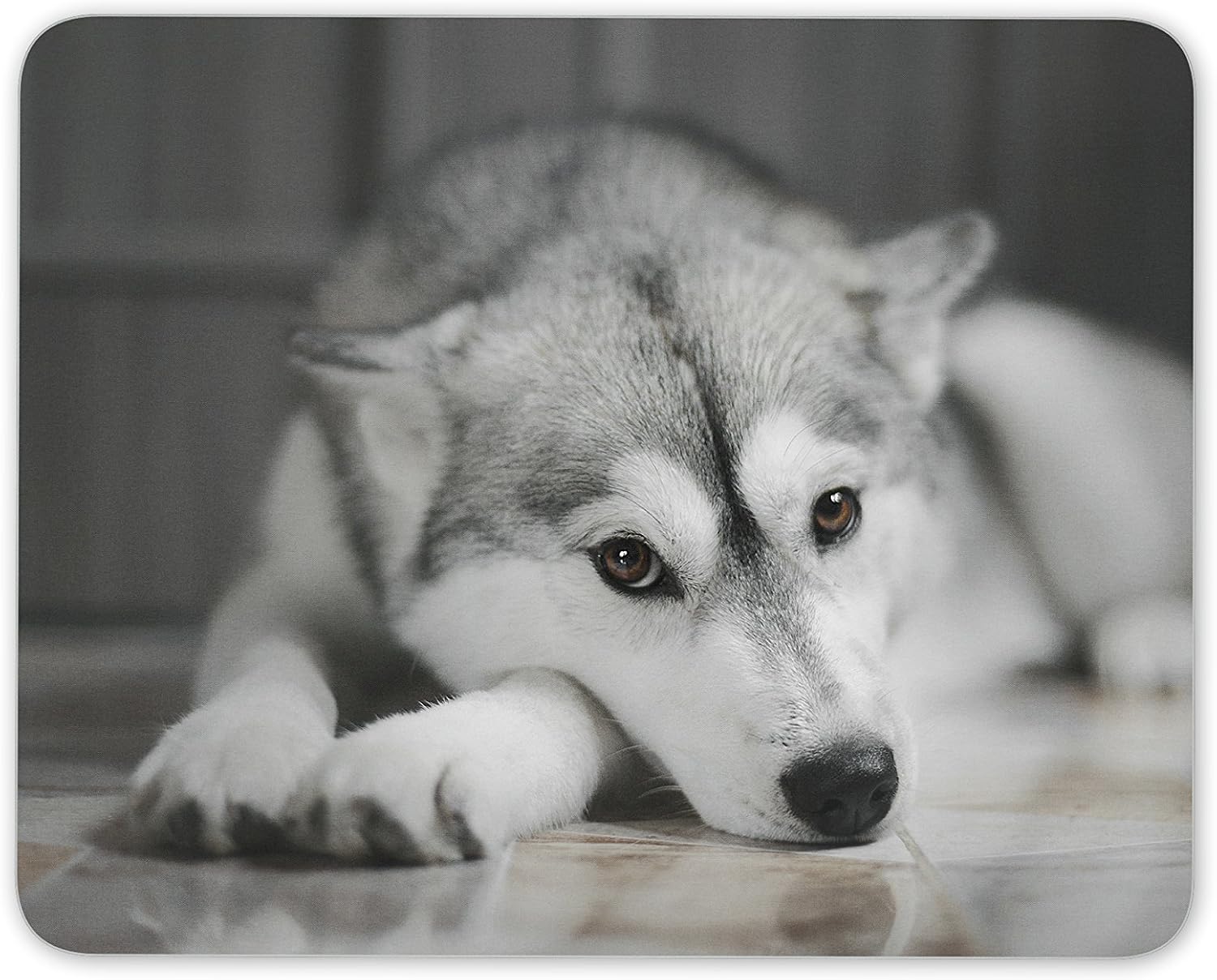 Beautiful Husky Mouse Mat Pad - Dog Animal Mum Sister Fun Gift Computer #8636, Multicolor