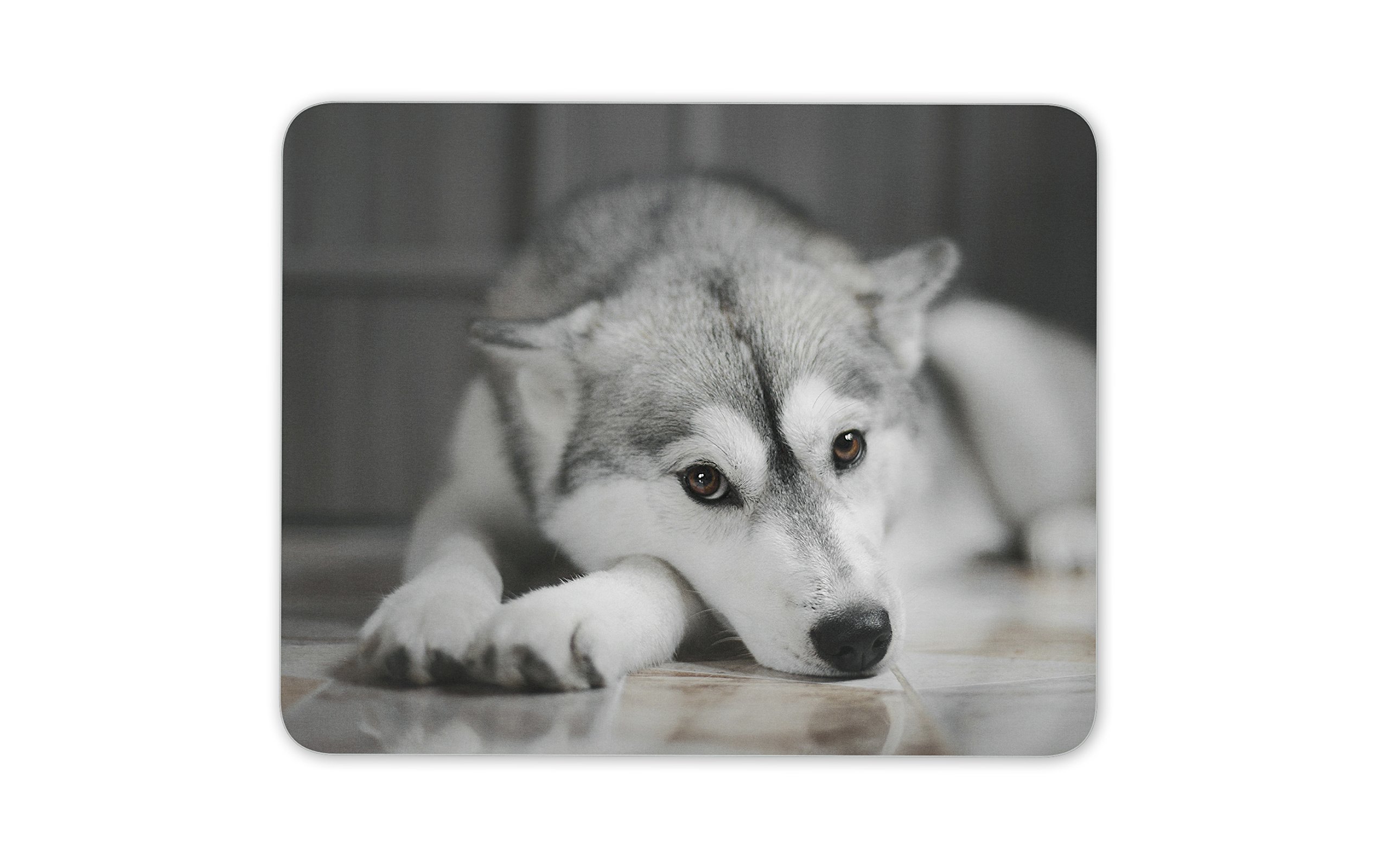 Beautiful Husky Mouse Mat Pad - Dog Animal Mum Sister Fun Gift Computer #8636