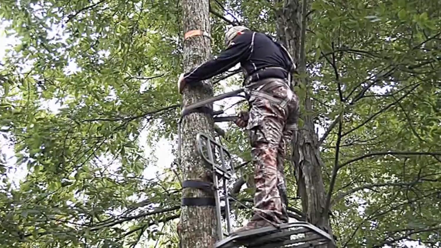 Hunter Safety System LCS Lineman's Climbing Strap, Black Original version : Hunting Safety Belts And Harnesses : Sports & Outdoors
