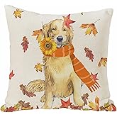 SPXUBZ Fall Throw Pillow Cover 18x18 Inch Autumn Dog Golden Retriever Home Decor Thanksgiving Farmhouse Nice Gift Square Indoor Linen Pillowcase Cushion(Two Sides Print)