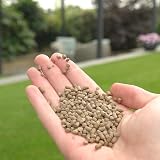envii Active Lawn Lawn Clay Soil Improver 1.2kg covers 40m2 view 6