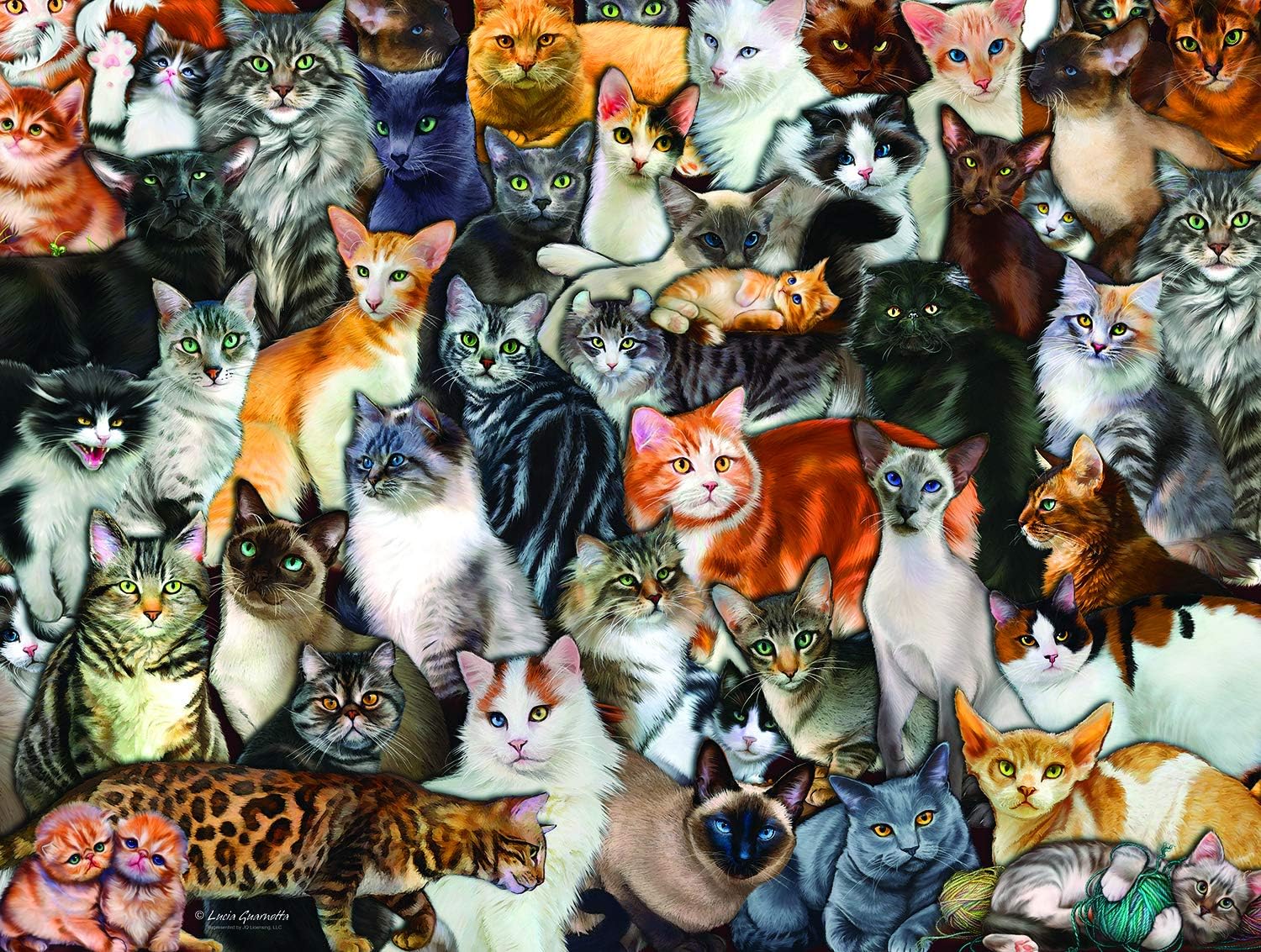 Cat Collage 300 pc Jigsaw Puzzle by SunsOut Toys & Games