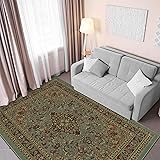 Machine Washable Medallion Oriental Design Non-Slip Rubberback 5x7 Traditional Area Rug for Living Room, Bedroom, Kitchen, Di