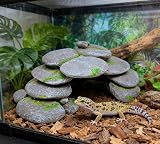 M2cbridge Pebble Arch Reptile Cave Hideout Ledge 3in H 9in L 5in W view 2