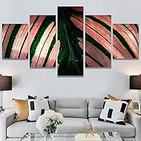 SIGNWIN 5 Panel Canvas Wall Art Abstract Closeup Colorful Digital Art Lights for Home Decorations Ready to Hang - 60
