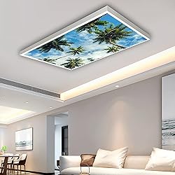 DIQISHIZHU Fluorescent Light Covers for Classroom