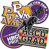 Desert Cactus Prairie View A&M University Sticker Panthers PVAMU Sticker Vinyl Decals Laptop Water Bottle Car Scrapbook (T2 HBCU-B)