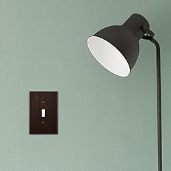Questech Decor Single Toggle Light Switch