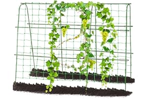 Follook Cucumber Trellis Raised Bed, 63x48 Inch Garden Arch Trellis for Climbing Plants Outdoor, Plastic-Coated Metal U-Frame Garden Plants Support Grape Vines Vegetable Pea Bean Trellis, Green