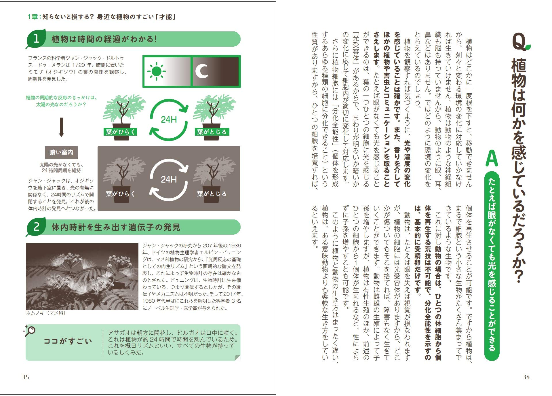Mua 眠れなくなるほど面白い 図解 植物の話 Tren Amazon Nhật Chinh Hang 21 Fado
